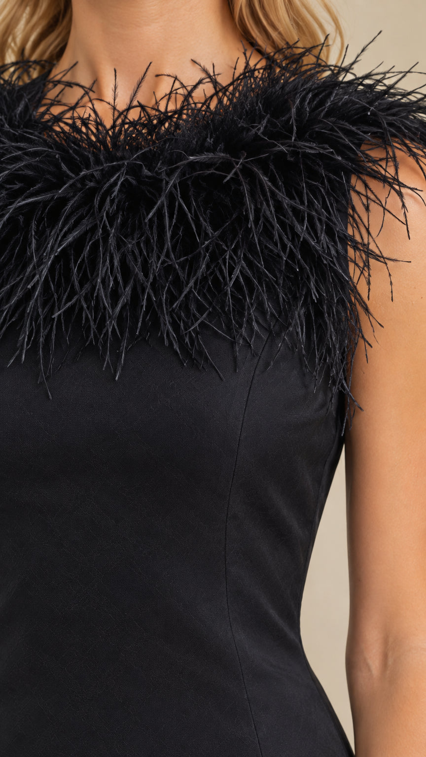 Close up detail of high neckline with lush black feather trim
