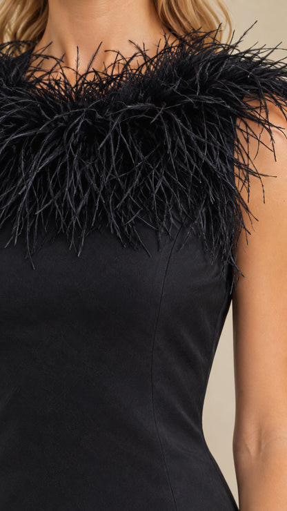 Close up detail of high neckline with lush black feather trim